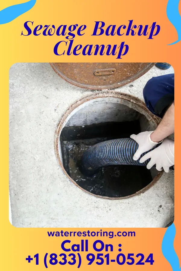 Sewage Backup Cleanup in Colquitt, GA